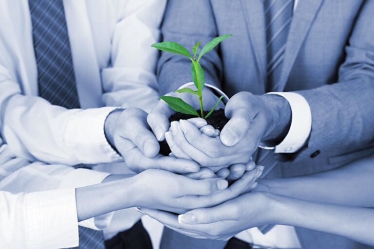 Sustentabilidade empresarial: conceito, vantagens e importância